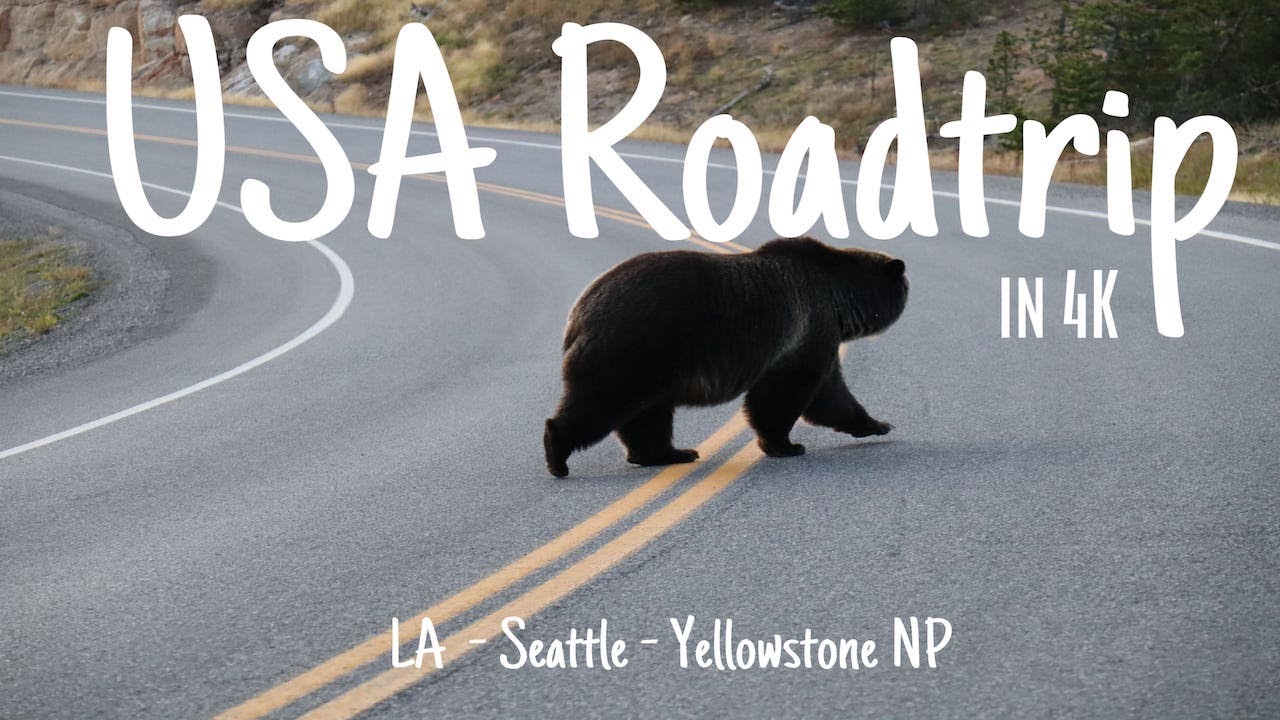 USA ROADTRIP🇺🇸 I Pt. 1: LA - Sacramento - Seattle - Yellowstone NP🐻 I 8500 km I 4K