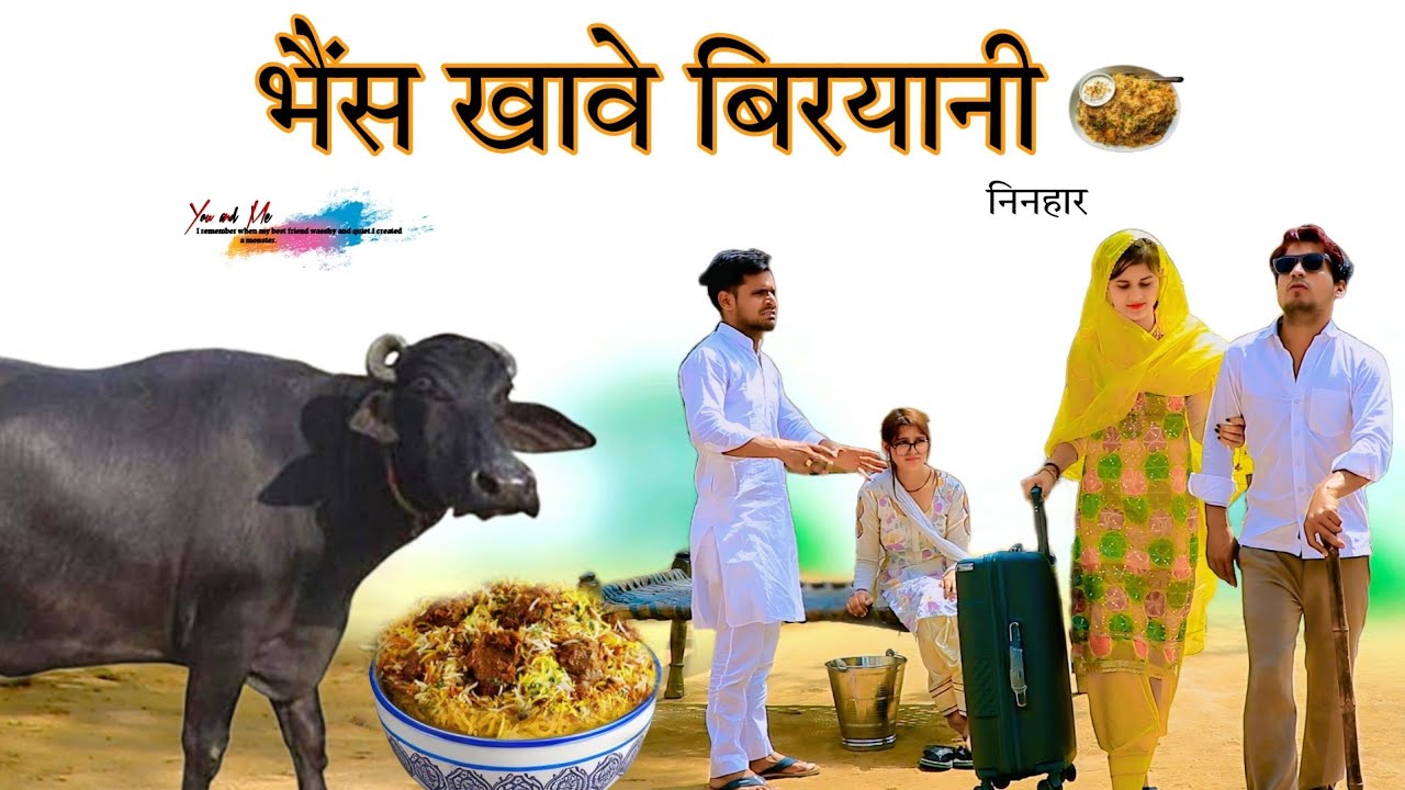 भैंस खावे बिरयानी @HAKKU SINGARIYA  // Aafiq Singariya