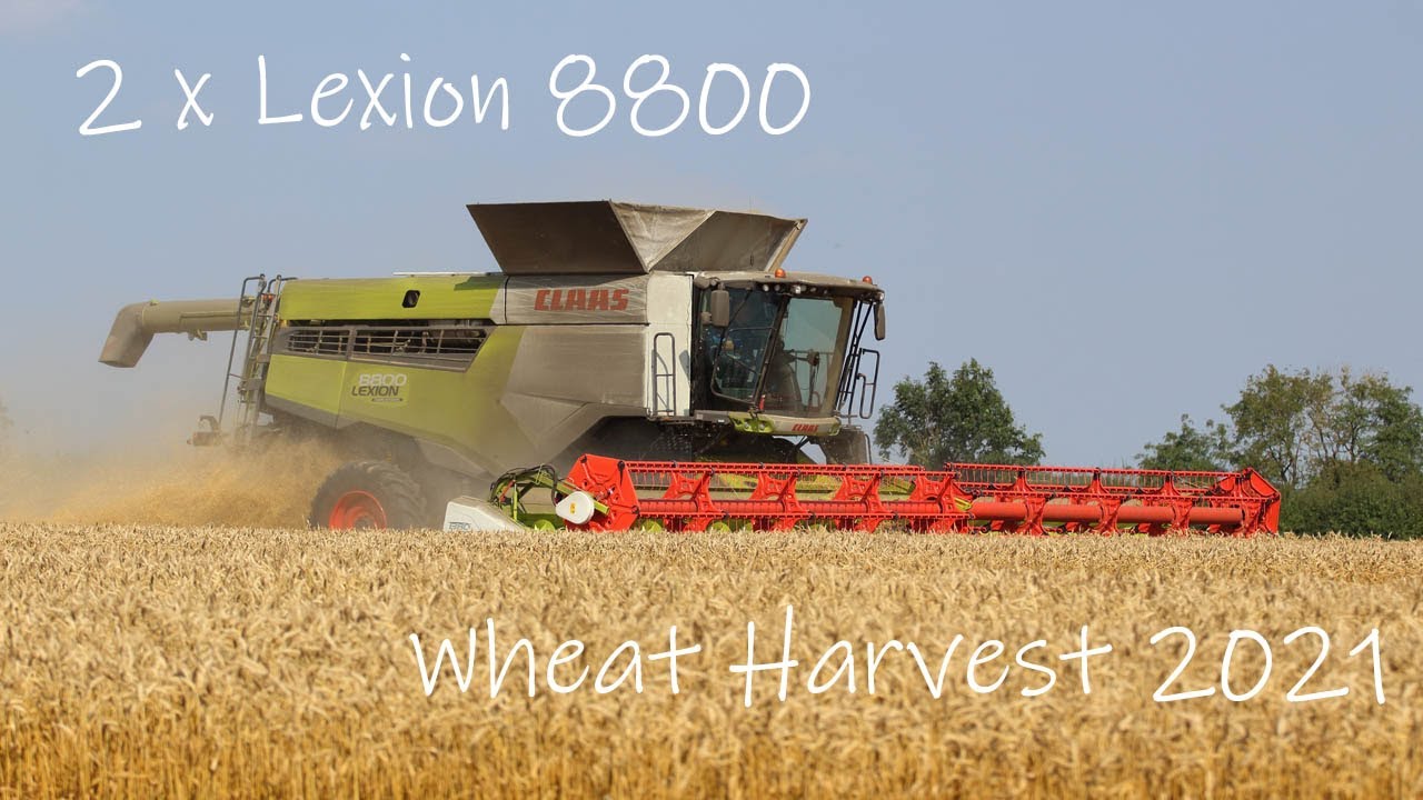 Thurlow Estate Farms - Spring Wheat Harvest 2021 | Claas Lexion 8800