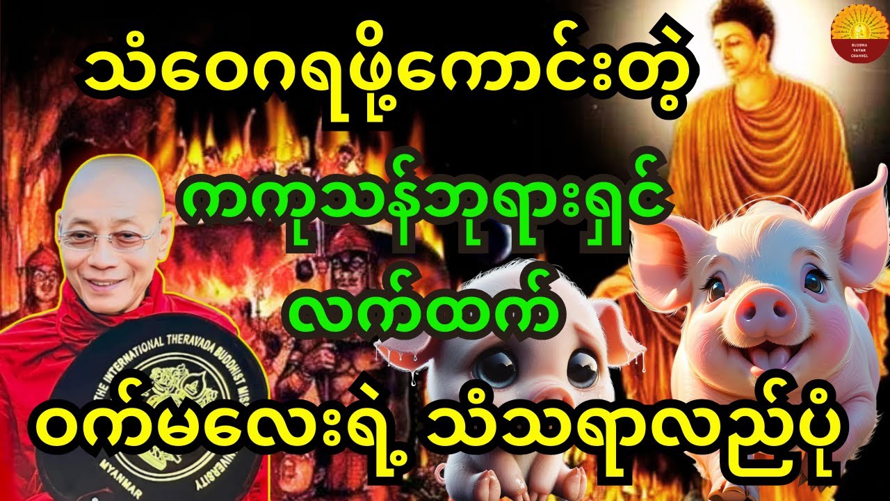 သံဝေဂရဖို့ကောင်းတဲ့ ကကုသန်ဘုရားရှင် လက်ထက်က ဝက်မလေးရဲ့ ဘ၀သံသရာလည်ပုံအကြောင်း