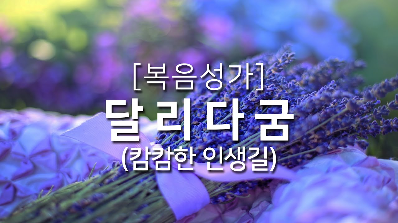 [복음성가연속듣기] 달리다굼(캄캄한 인생길)_하루찬양, 복음성가, 은혜찬양연속듣기, 은혜찬양