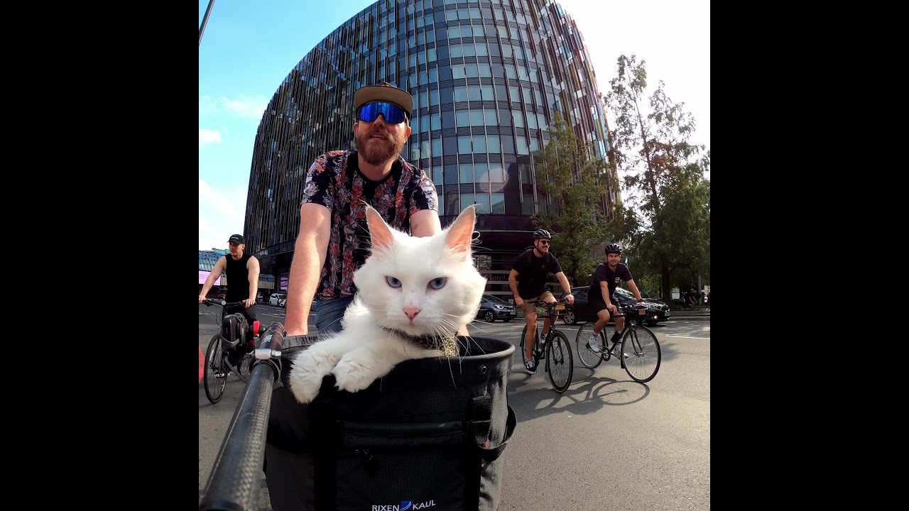 Sigi Rides Compilation 2