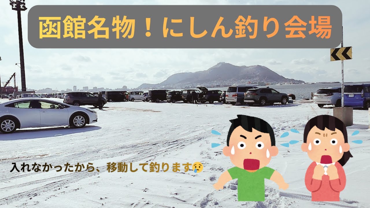 【函館の1月の釣りはこれ！函館港船だまり、西埠頭】＃北海道釣り＃カレイ＃函館釣り