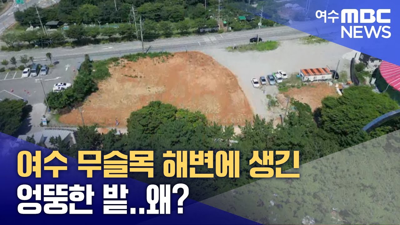 여수 무슬목 해변에 생긴 엉뚱한 밭.. 왜? -R (250723수/뉴스데스크)