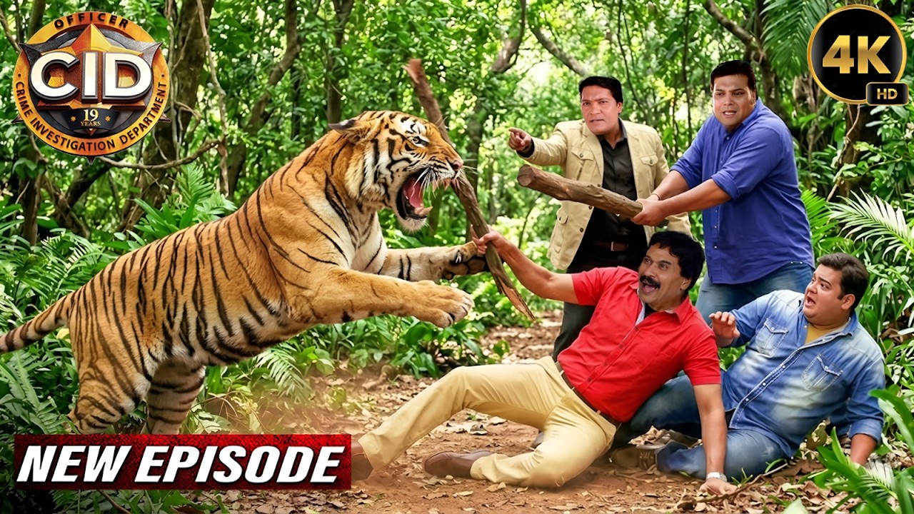 कातिल को पकड़ने निकली CID Team पर जंगल में वाघ ने कर दिया हमला | CID New Episodes 2026