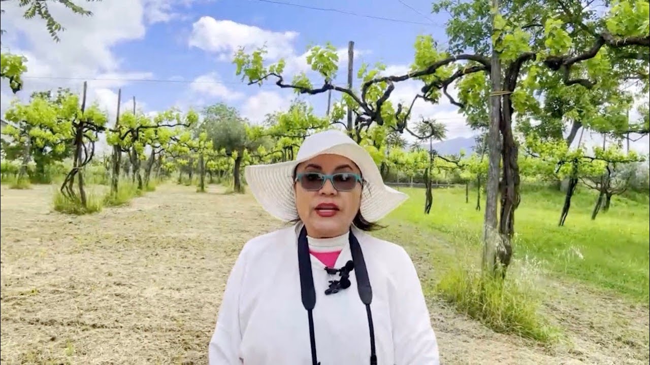 La Beauté du Vin 2025 2026 #12