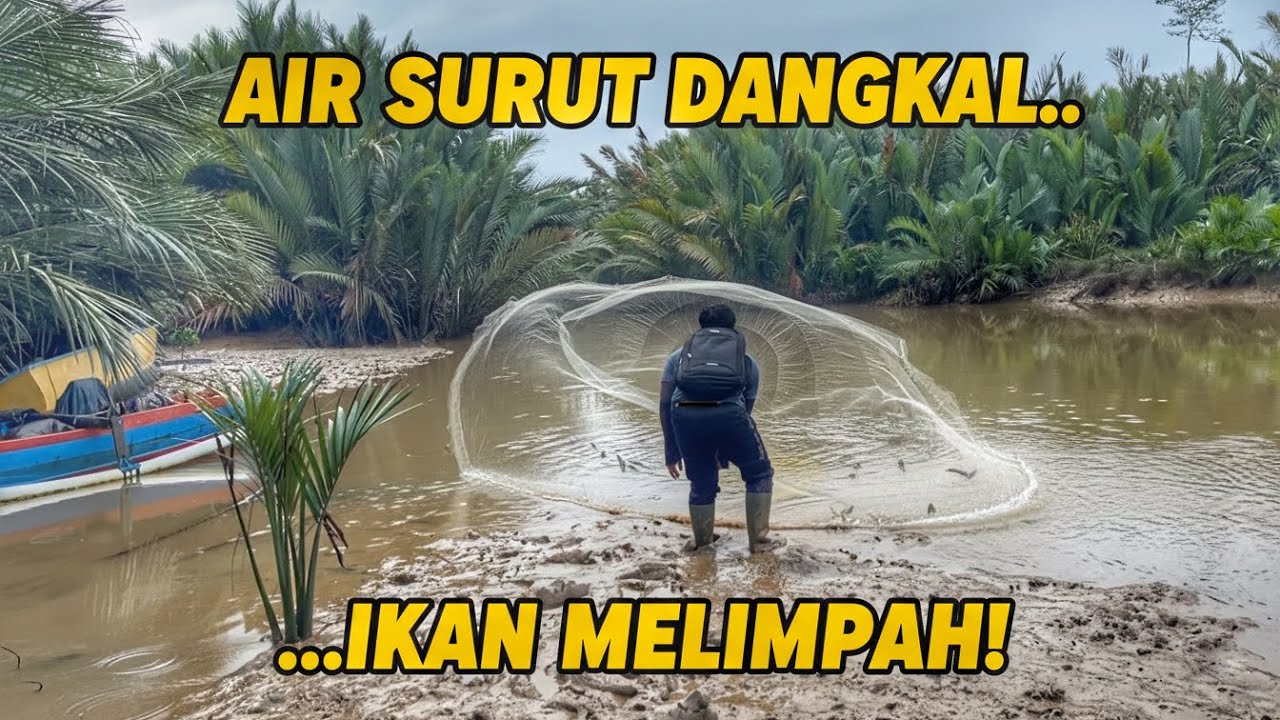 LUAR BIASA! Air surut jadi berkah, sekali tebar jala isinya tak masuk akal! #jalaikan #menjala 