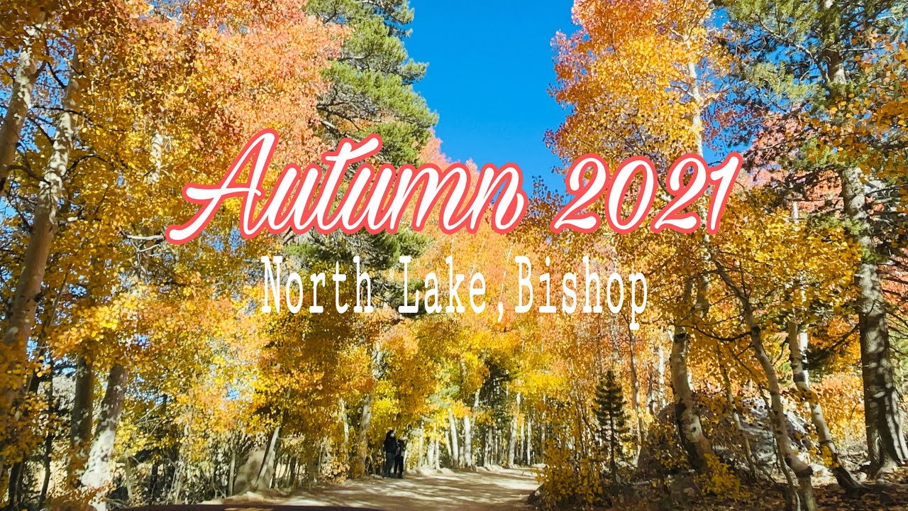 FALL COLOURS  | AUTUMN 2021