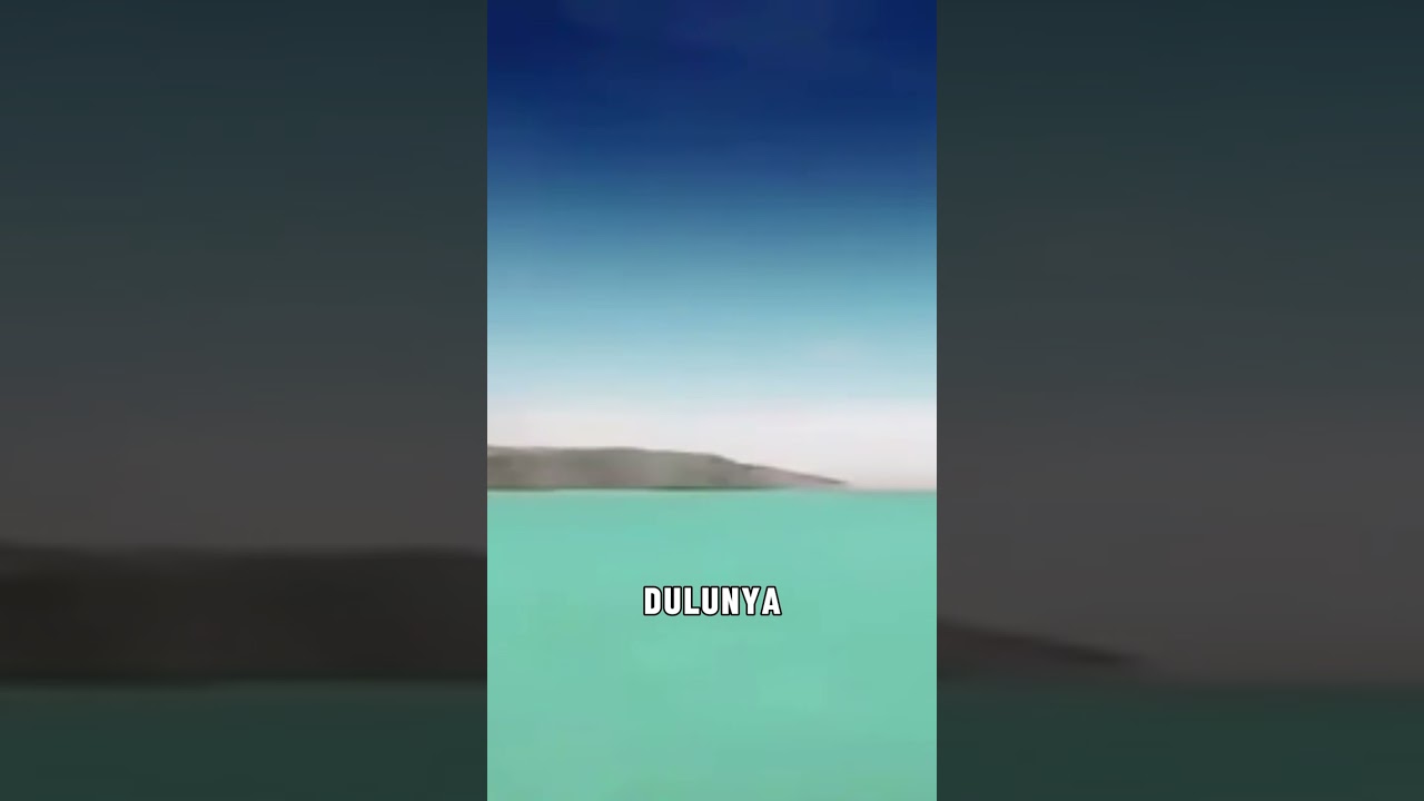 Gurun Sahara Dulunya Laut Penuh Ikan dan Paus 