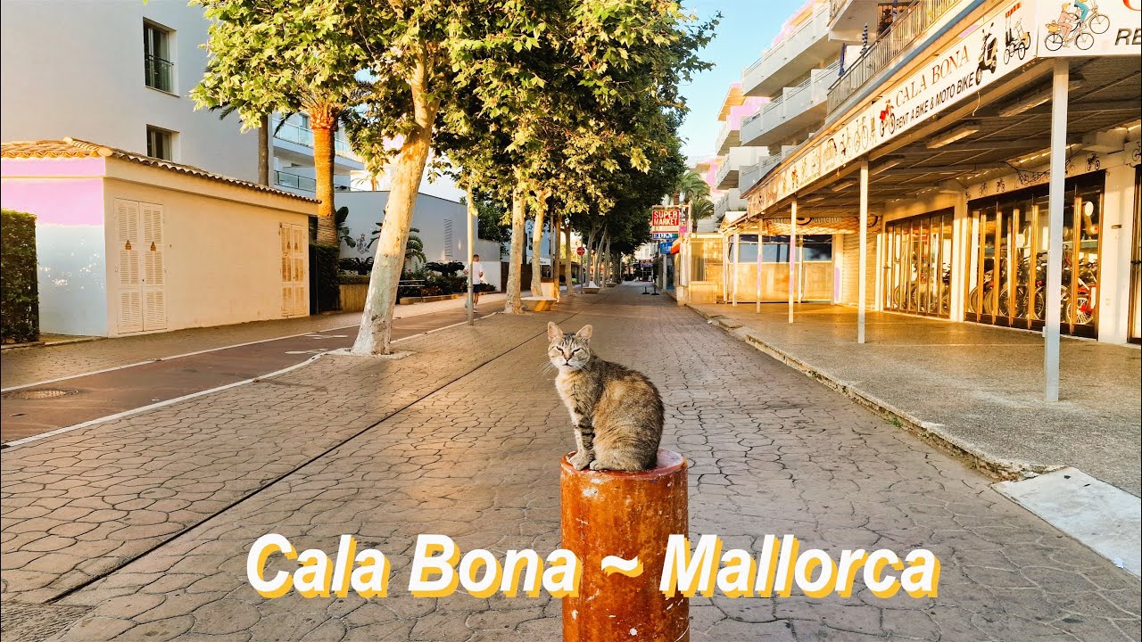 Cala Bona ⭐ Mallorca 🏖️