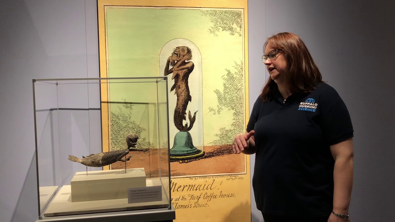 Buffalo Museum of Science Virtual Tour: Fiji Mermaid