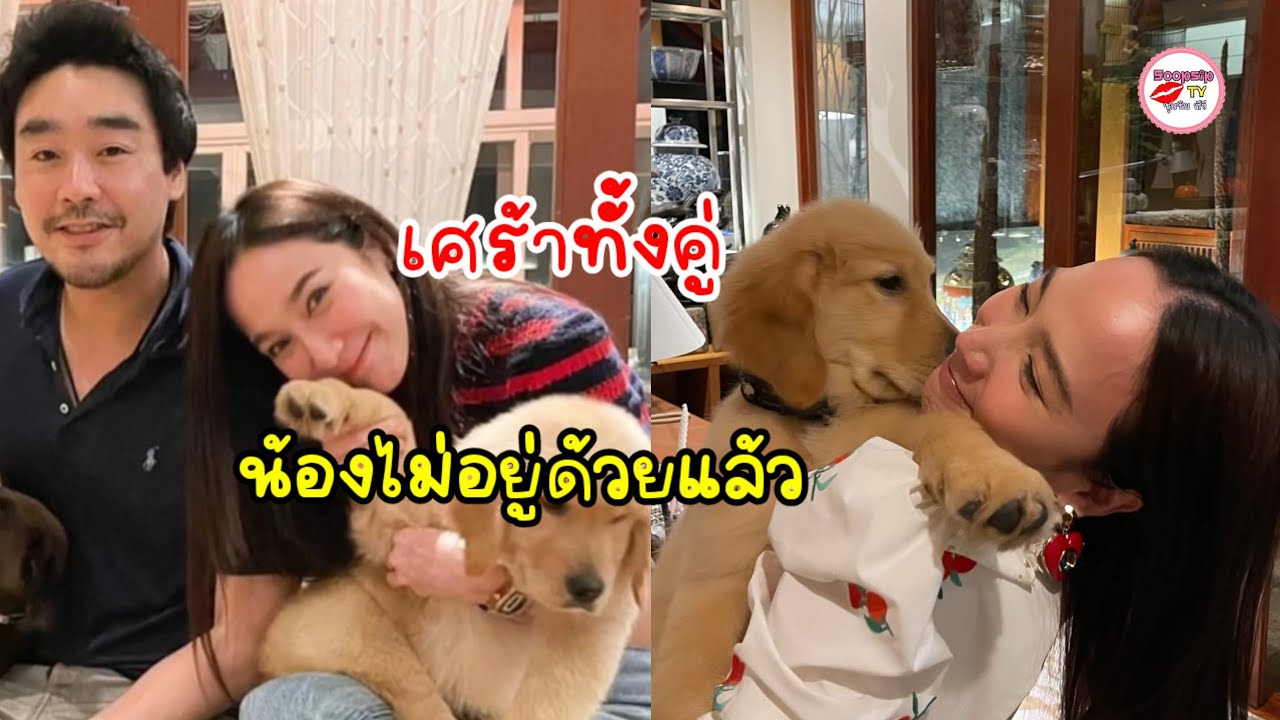 อั้ม พัชราภา ส่งใจจากญี่ปุ่น อาลัย น้องคินตะ สุนัขคู่ใจ ไฮโซพก อำลาครั้งสุดท้ายก่อนบิน