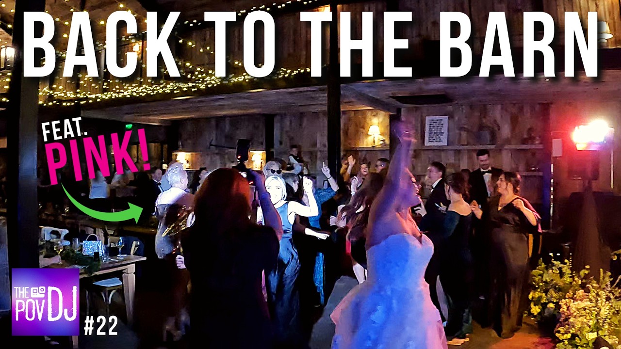 POV | There was a SURPRISE singer at this Wedding!