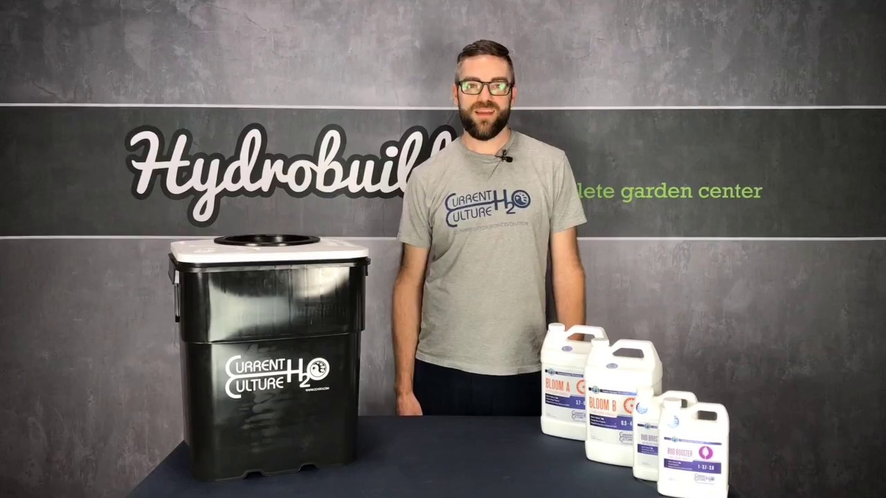 Current Culture H2O - Hydrobuilder.com
