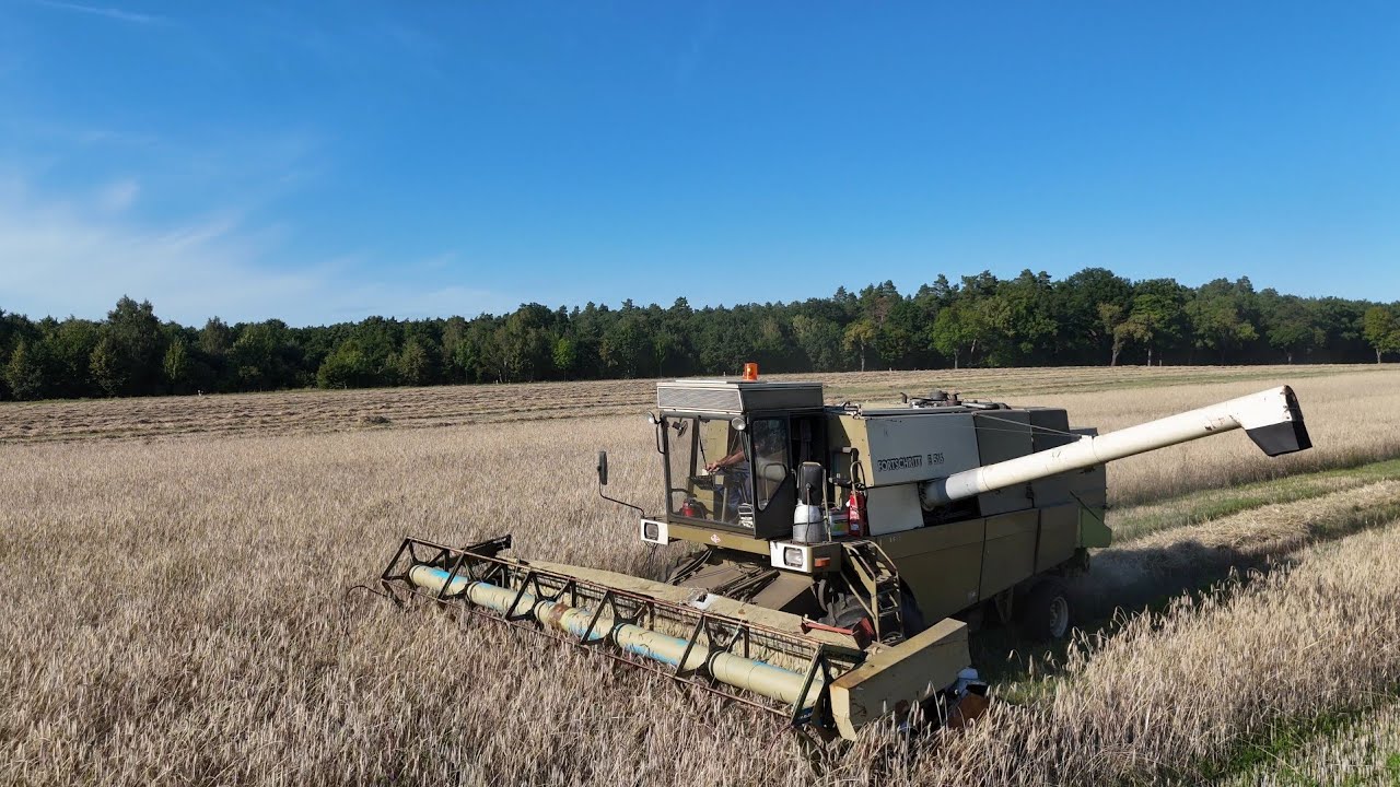 Fortschritt 516 und Deutz Topliner 4080 bei der Roggen Ernte 2025