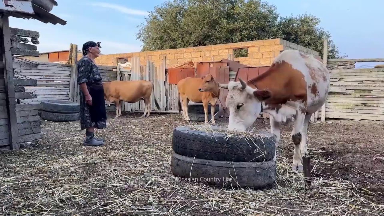 Cooking for the Whole Family Outdoors - Rural Traditions - Farm to Table