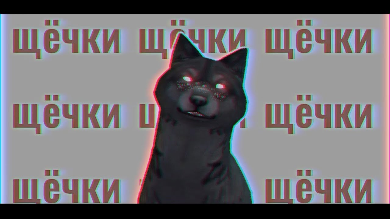 WCMV: Красные щёчки