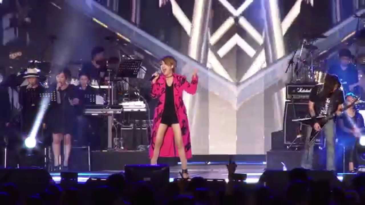 [Real Cam] So Chan-whee - Tears, 소찬휘 - 티얼스, DMC Festival 2015