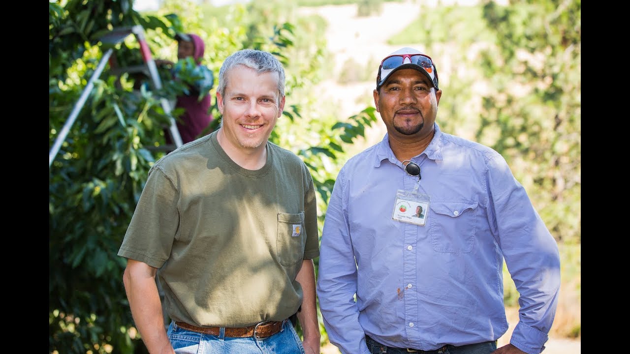 Effect of Post Harvest Applications Of Foliar Nutrients on Tree Fruit