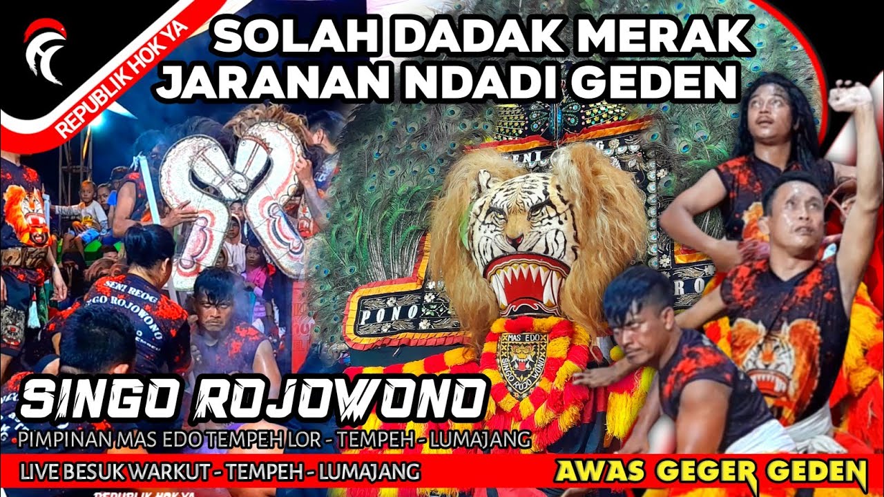 SOLAH DADAK MERAK & JARANAN NDADI GEDEN ❗REOG SINGO ROJOWONO FULL 2024