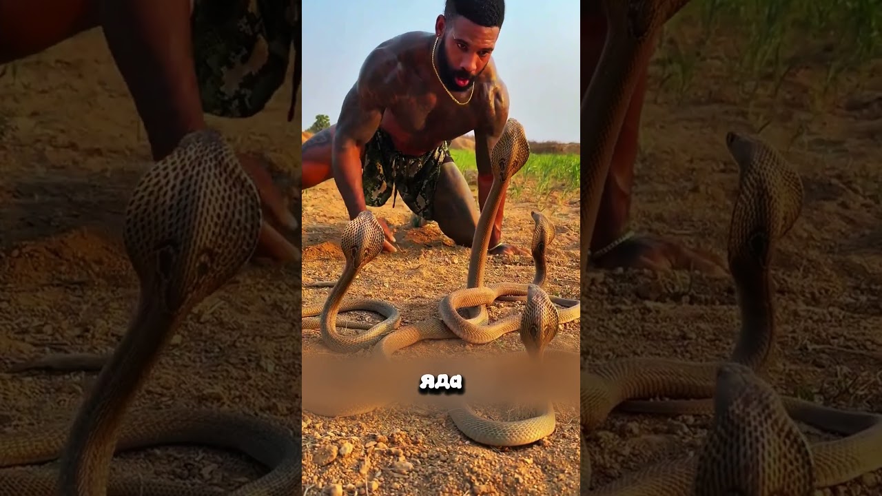 Мальчик, которого называют сыном кобры 🐍