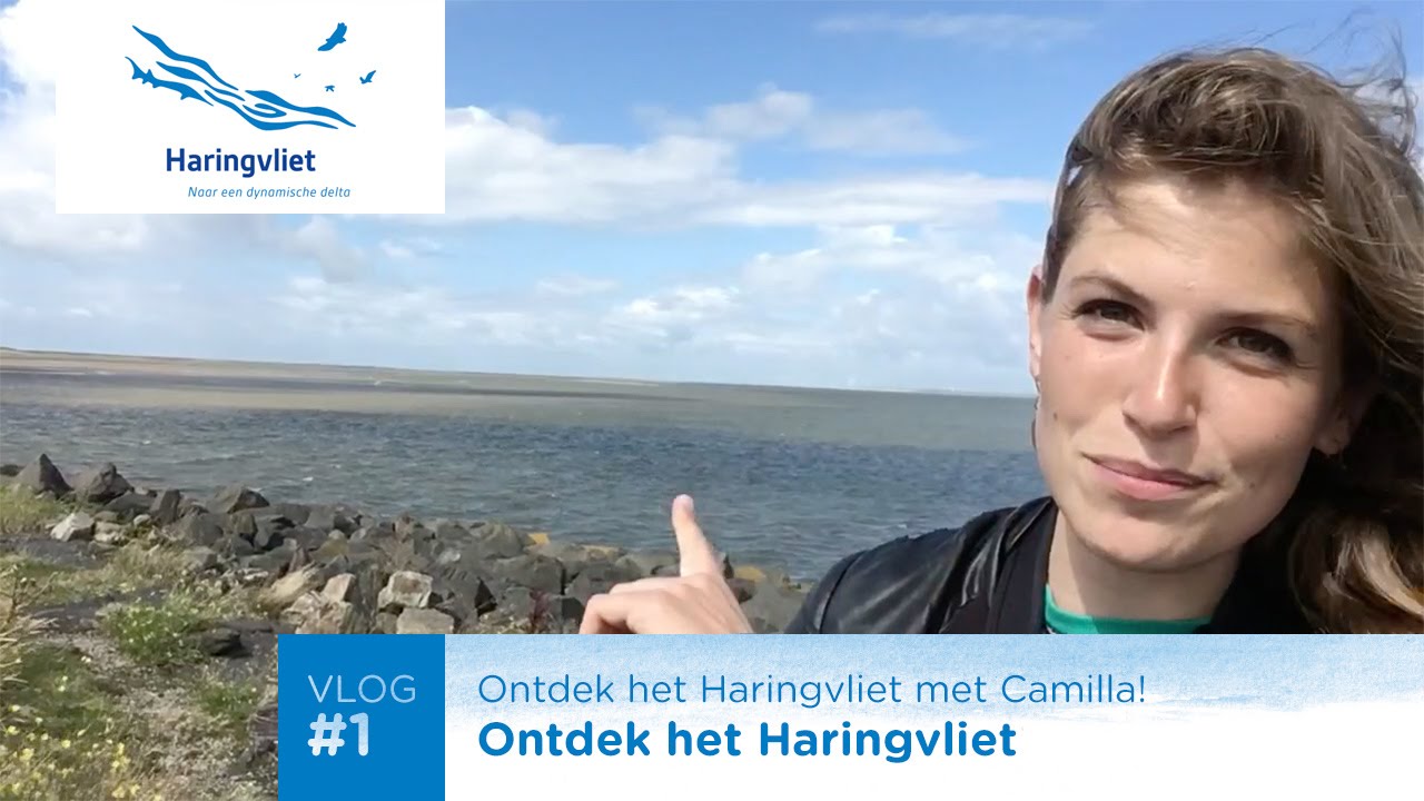 VLOG #1: Ontdek het Haringvliet