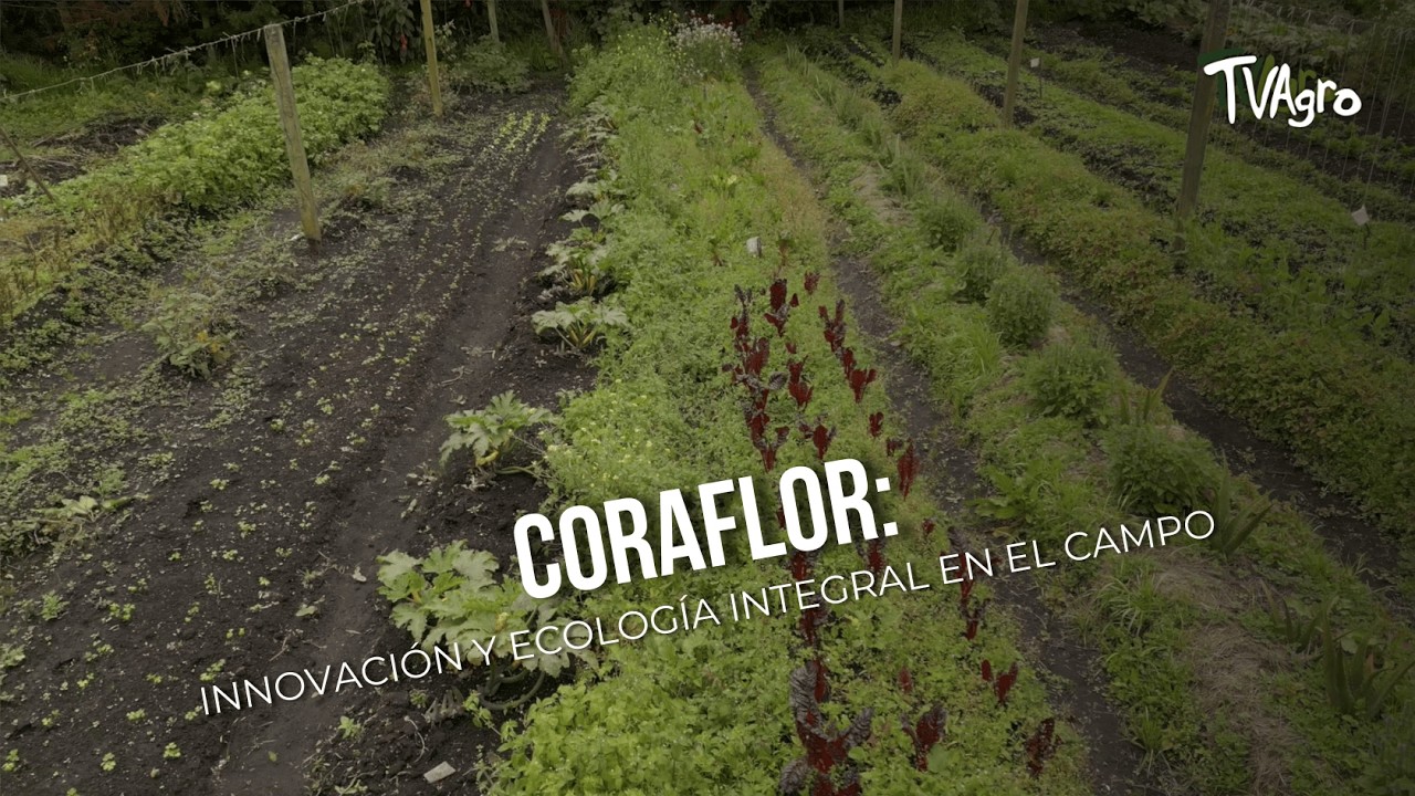 coraflor: innovación y ecología integral en el campo - TvAgro por Juan Gonzalo Angel