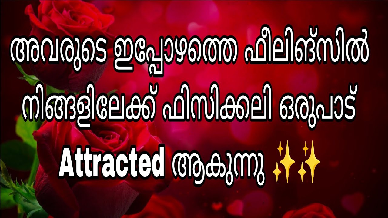 അവരുടെ ഇപ്പോഴത്തെ ഫീലിങ്‌സിൽ നിങ്ങളിലേക്ക് ഫിസിക്കലി ഒരുപാട് Attracted ആകുന്നു ✨✨