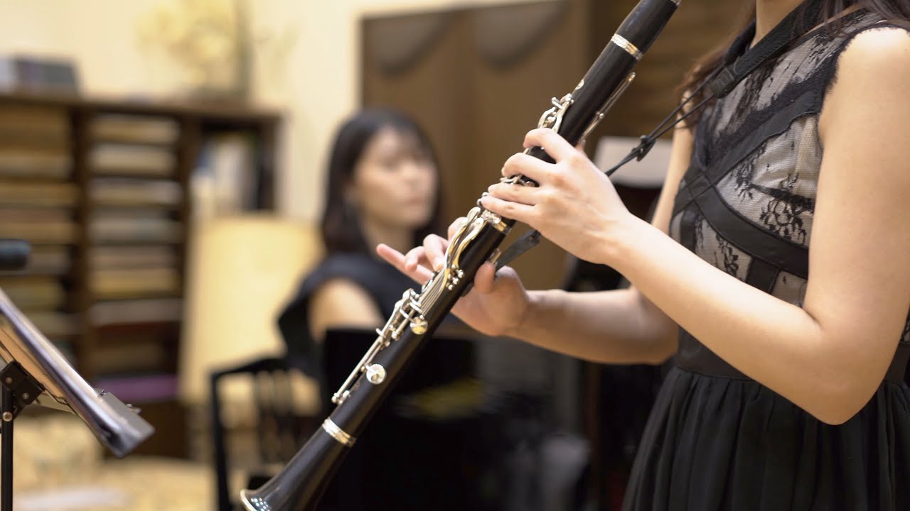 クラリネット｜ラプソディ・イン・ブルー｜Gershwin Rhapsody in Blue clarinet