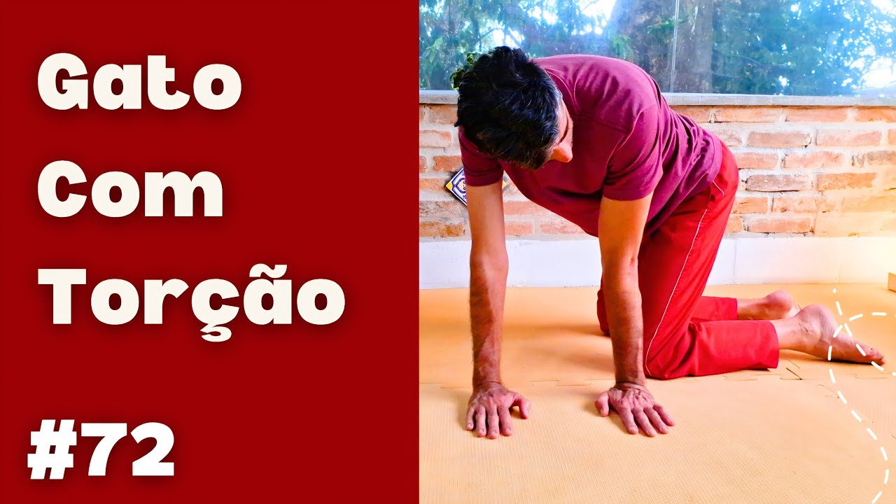 Postura do Gato com Tor&ccedil;&atilde;o - 365 Posturas F&aacute;ceis de Yoga