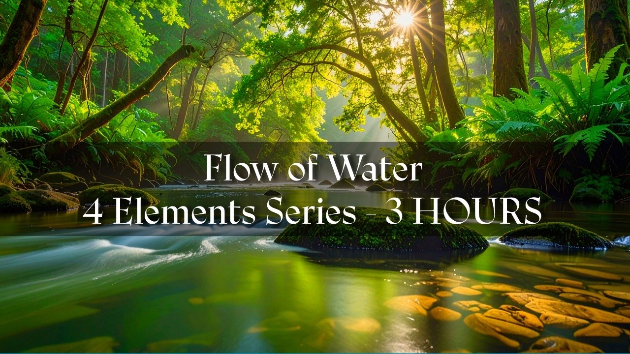 Flow of Water | 3 Hours of Calming Stream  Sounds | Deep Sleep & Meditation