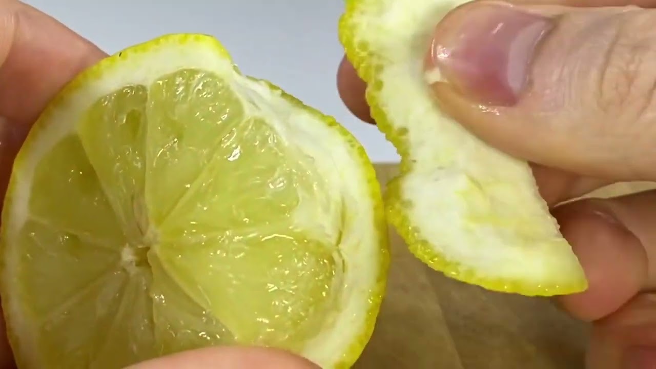 10 Crazy Science Experiments by Inventors #researchrevolution #curiousminds