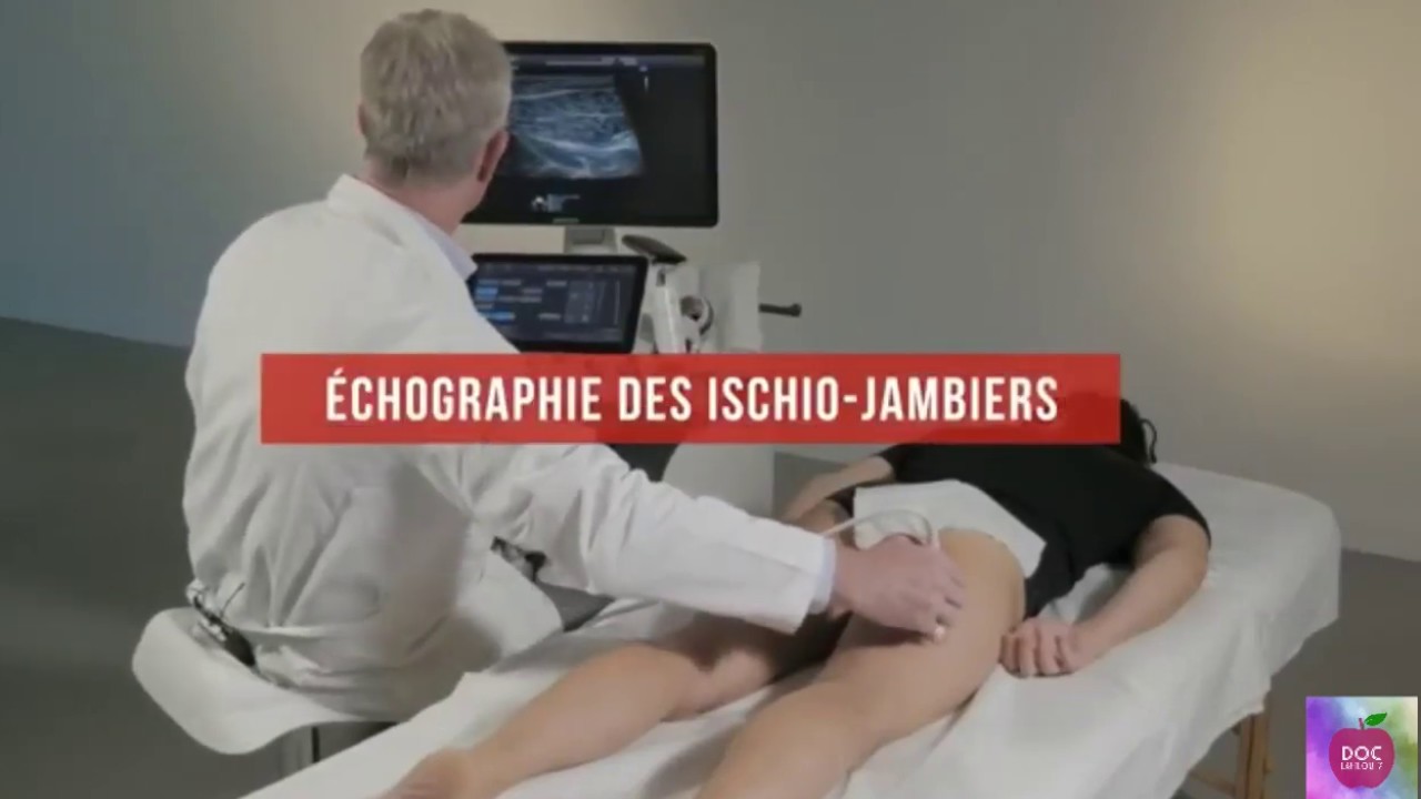 Echographie des muscles de membre inférieur