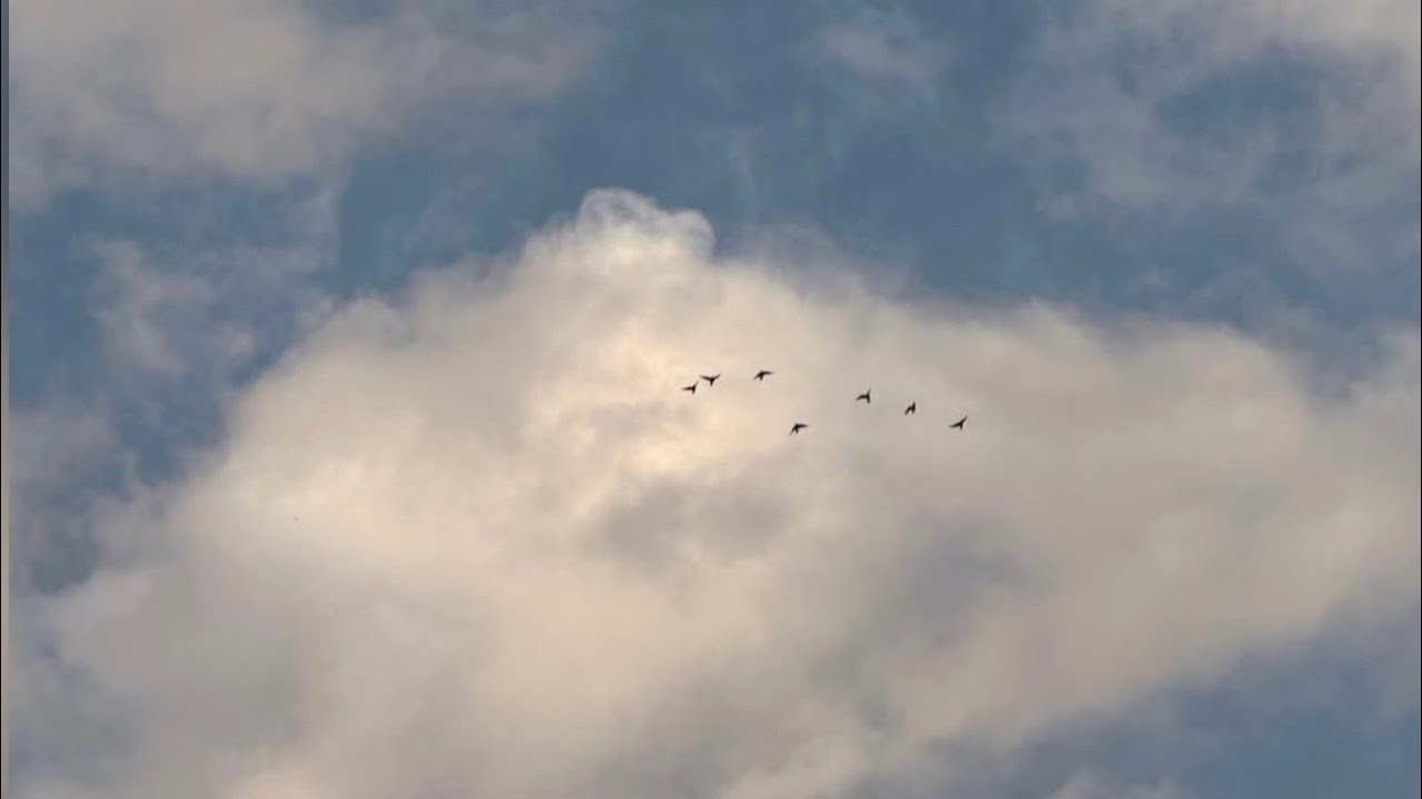 ANGEL - A tu lado 