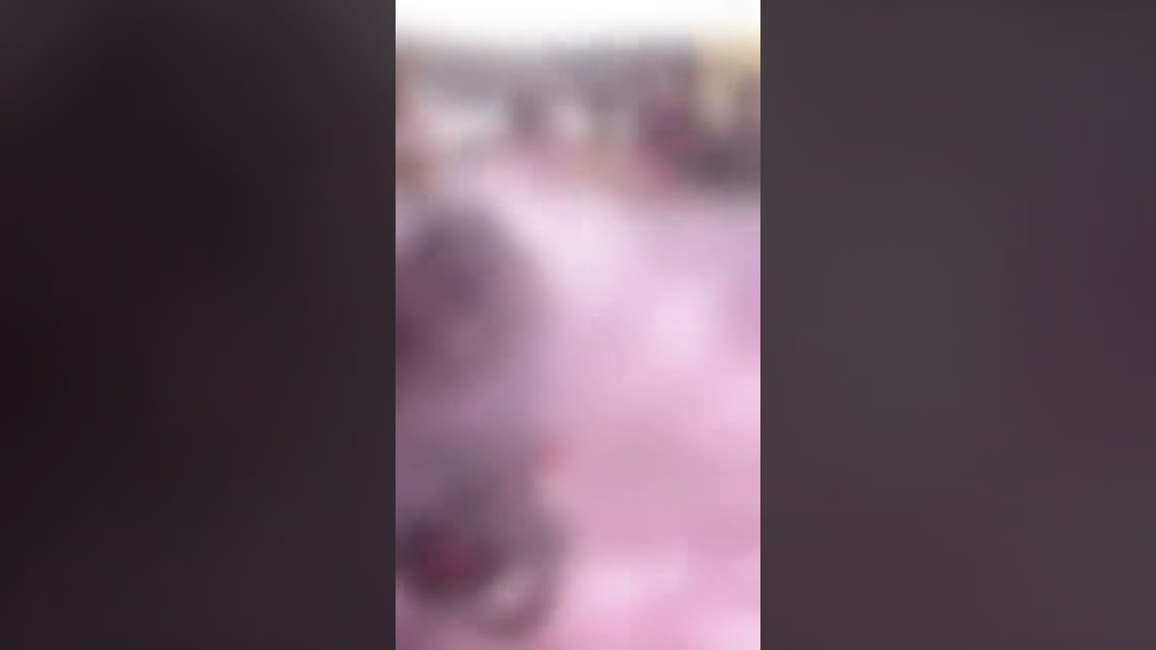 Holi in Mathura || #shortvideo #vlogs #reels #holi #mathura #vindavandham #trending