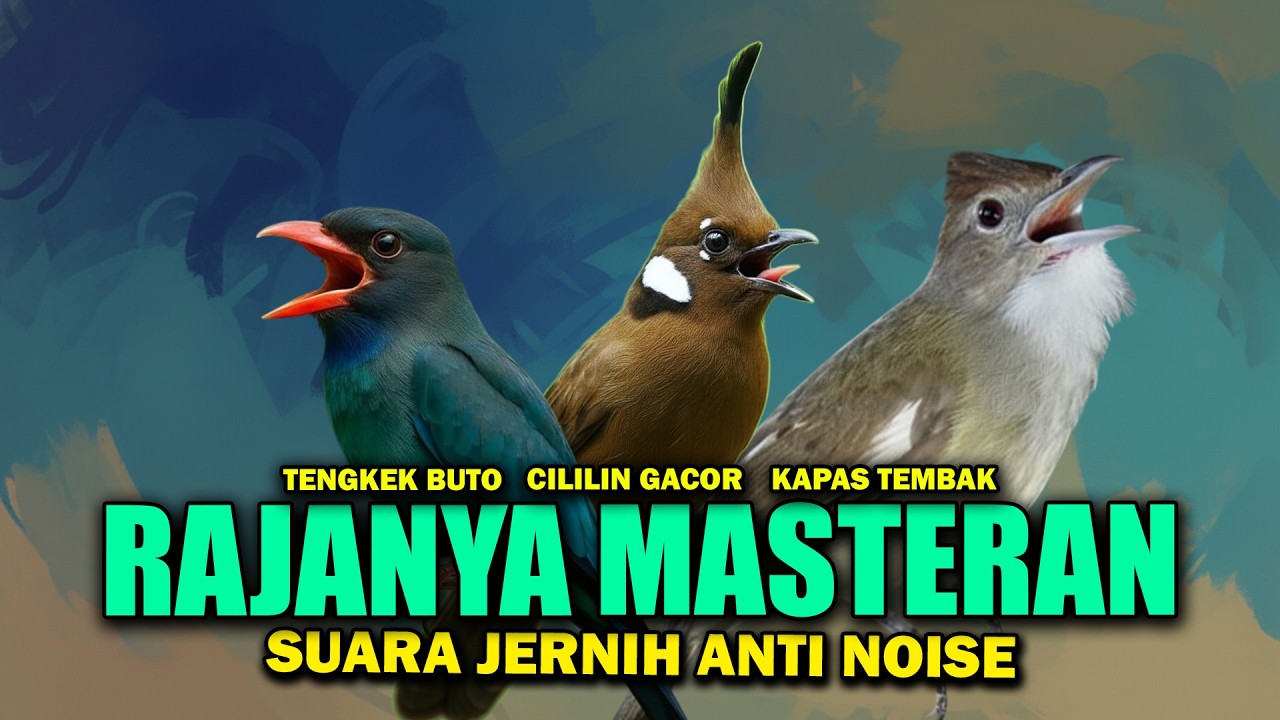 MASTERAN FULL ISIAN MUDAH MASUK CILILIN KAPAS TEMBAK TENGKEK BUTO