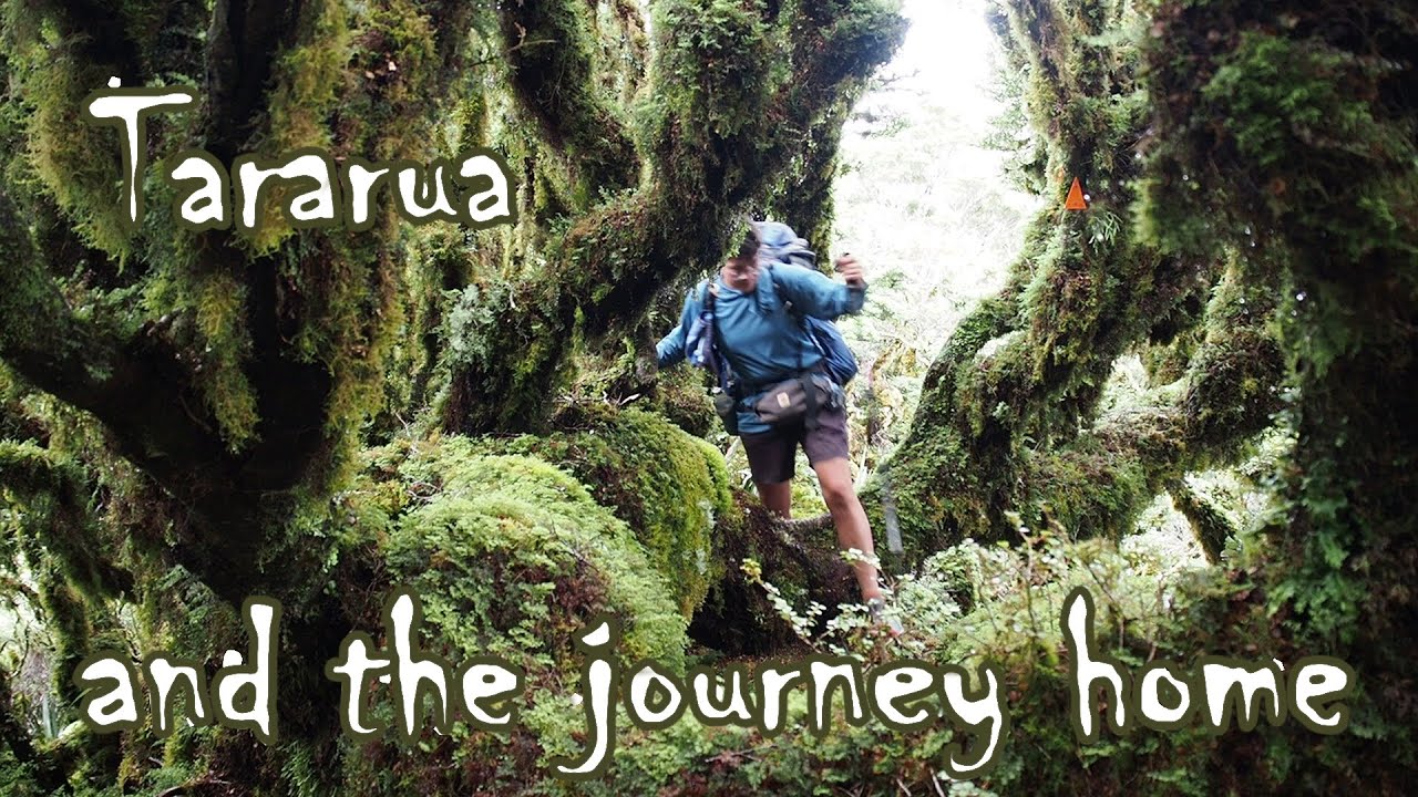 Walking Te Araroa: Tararua/There and Back Again | 2023/24
