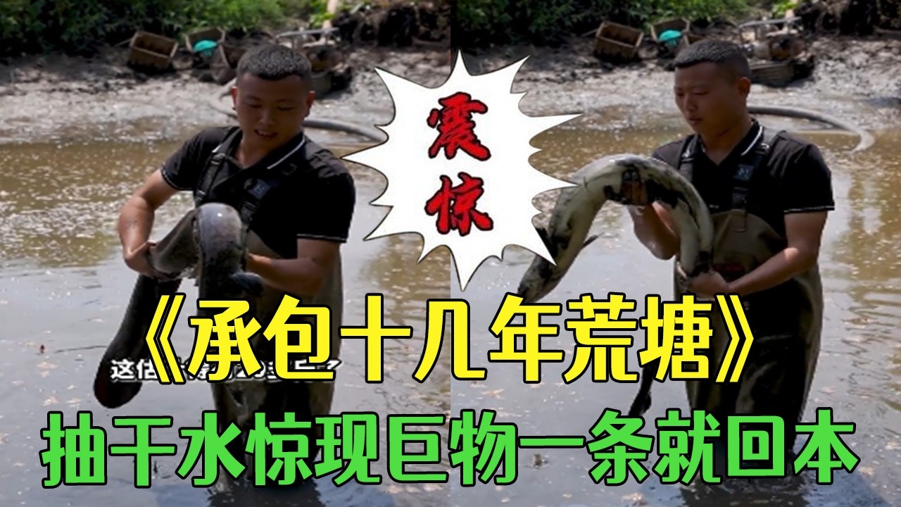 承包十幾年老荒塘，抽幹水驚現巨物，壹條就回本 #小飛哥#三農 #農村生活 #護外 #新農人計劃2026#包塘