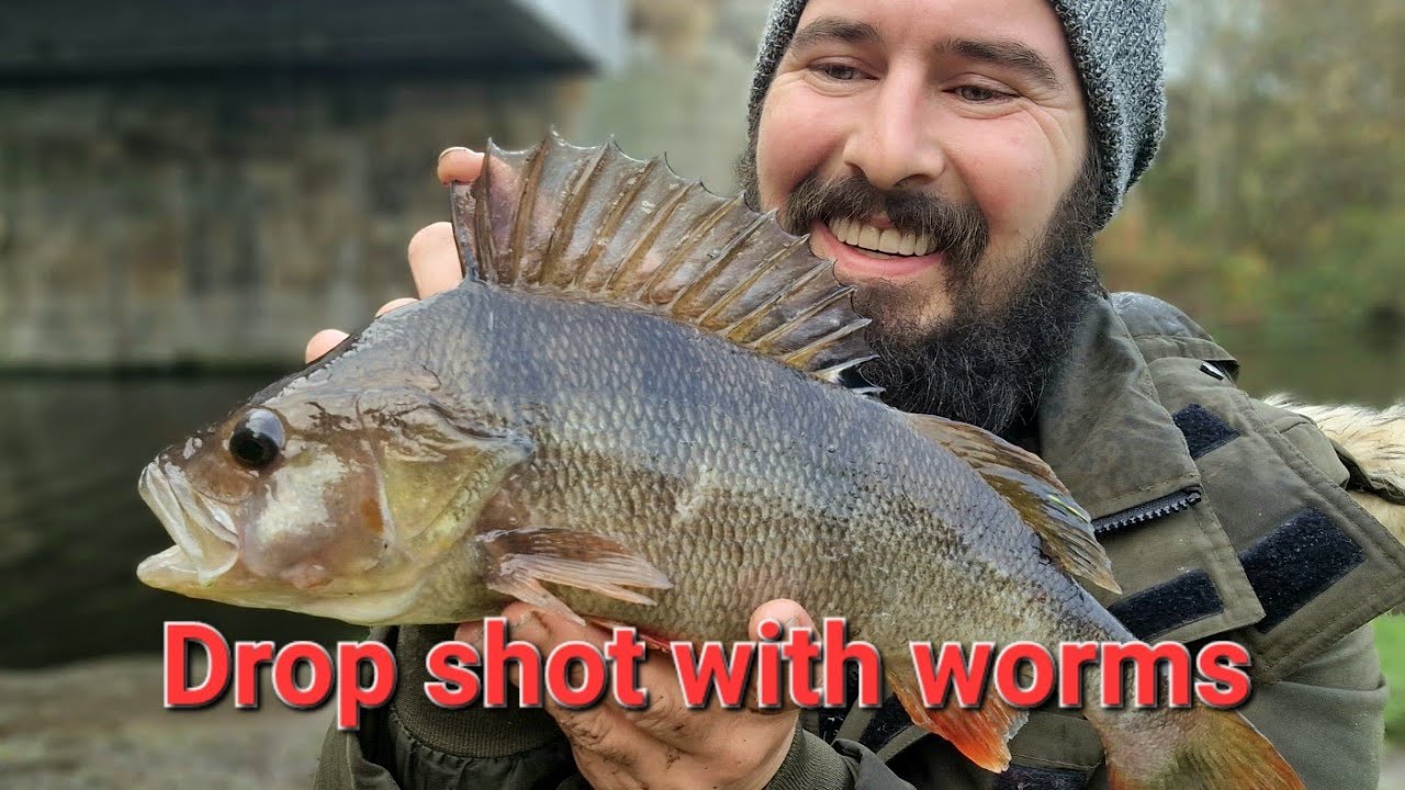 Drop shot with worms