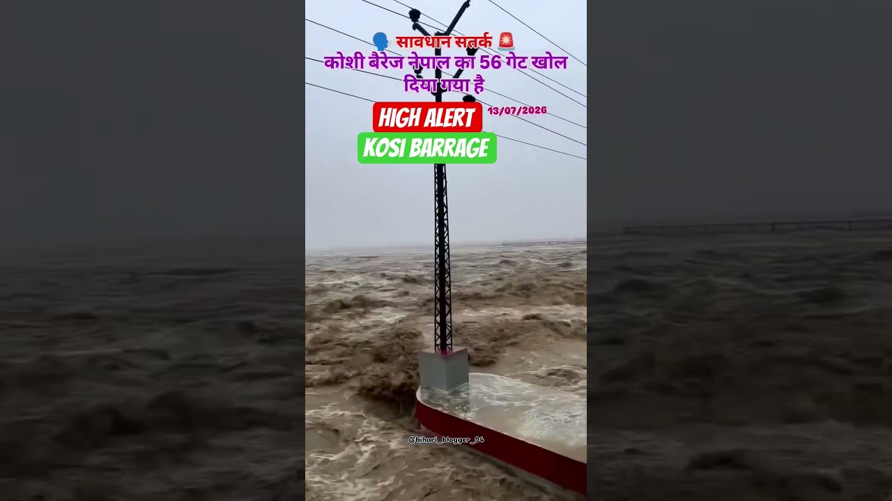 High alert Kosi Barrage Open 56 Gate #trending #new