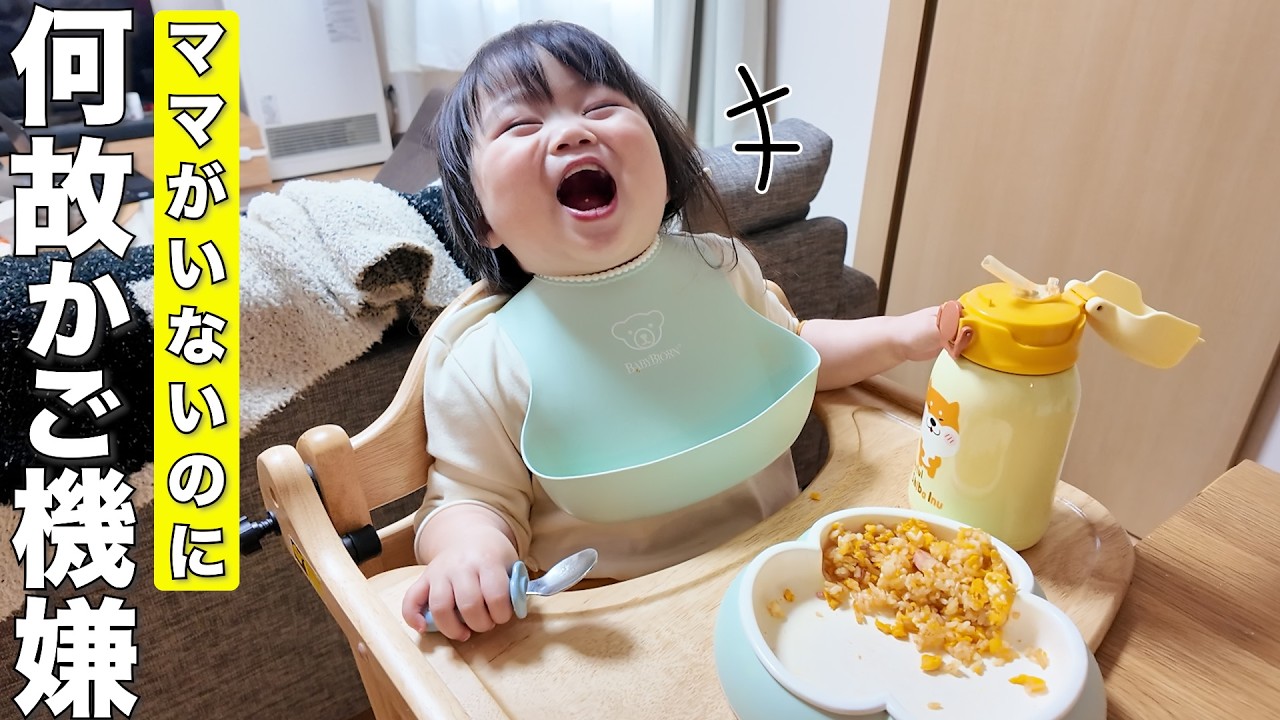 ママがいなくて寂しそうな柴犬とは違って何故かご機嫌な2歳児が可愛すぎました笑