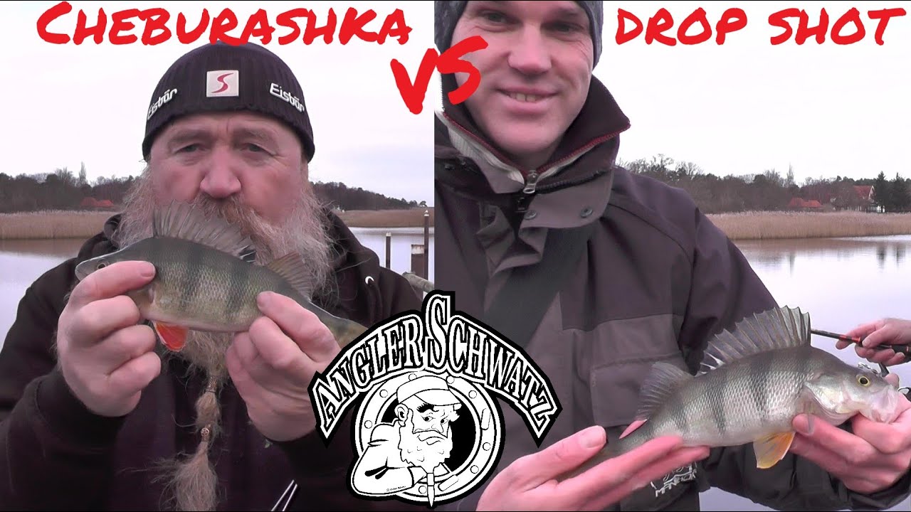 🎣Challenge🎣 - Drop Shot vs Cheburashka - Erolgreich angeln auf BARSCH - ANGLERSCHWATZ