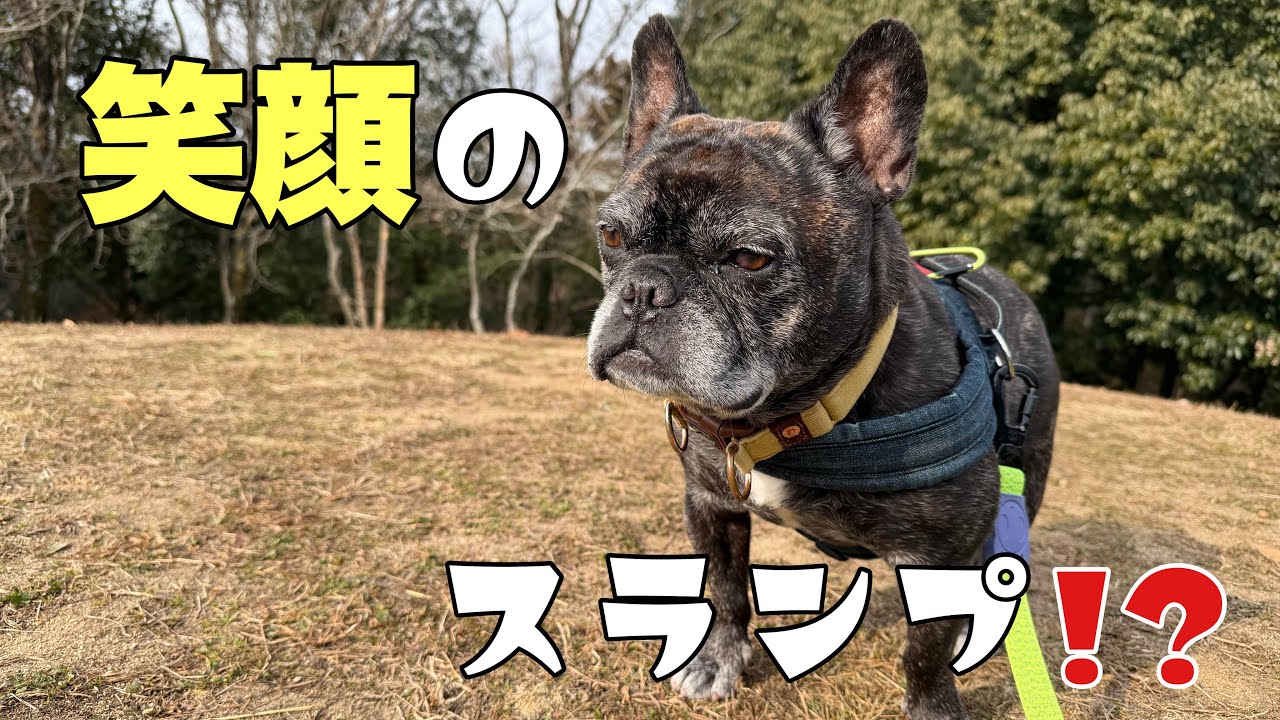 いいお顔スランプ中の3男坊！パパママ揃った休日散歩で奇跡のお顔がｗ