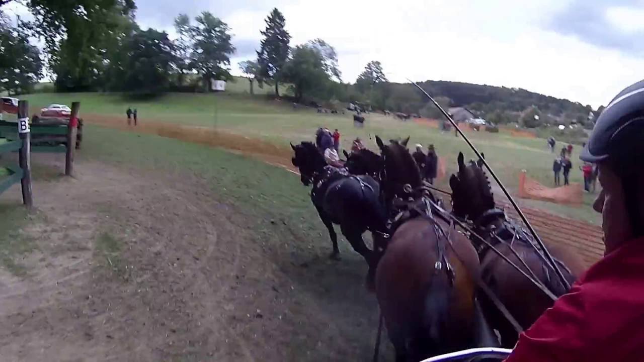 Georg von Stein Marathon Geländefahrt Nachwuchsgespann 4. Hindernis