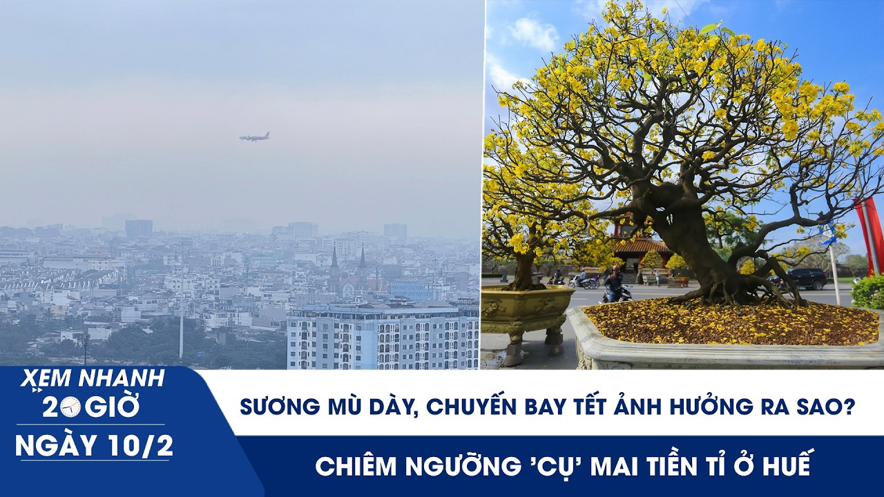 XEM NHANH 20H 10/2: Sương mù dày, các chuyến bay tết ảnh hưởng ra sao? | 'Cụ' mai tiền tỉ xứ Huế