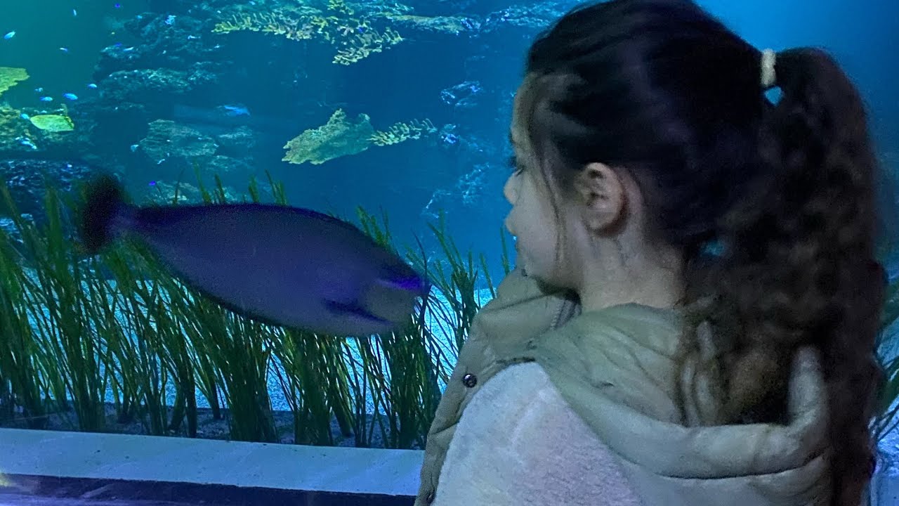 Universeum och nya Miniuniverseum