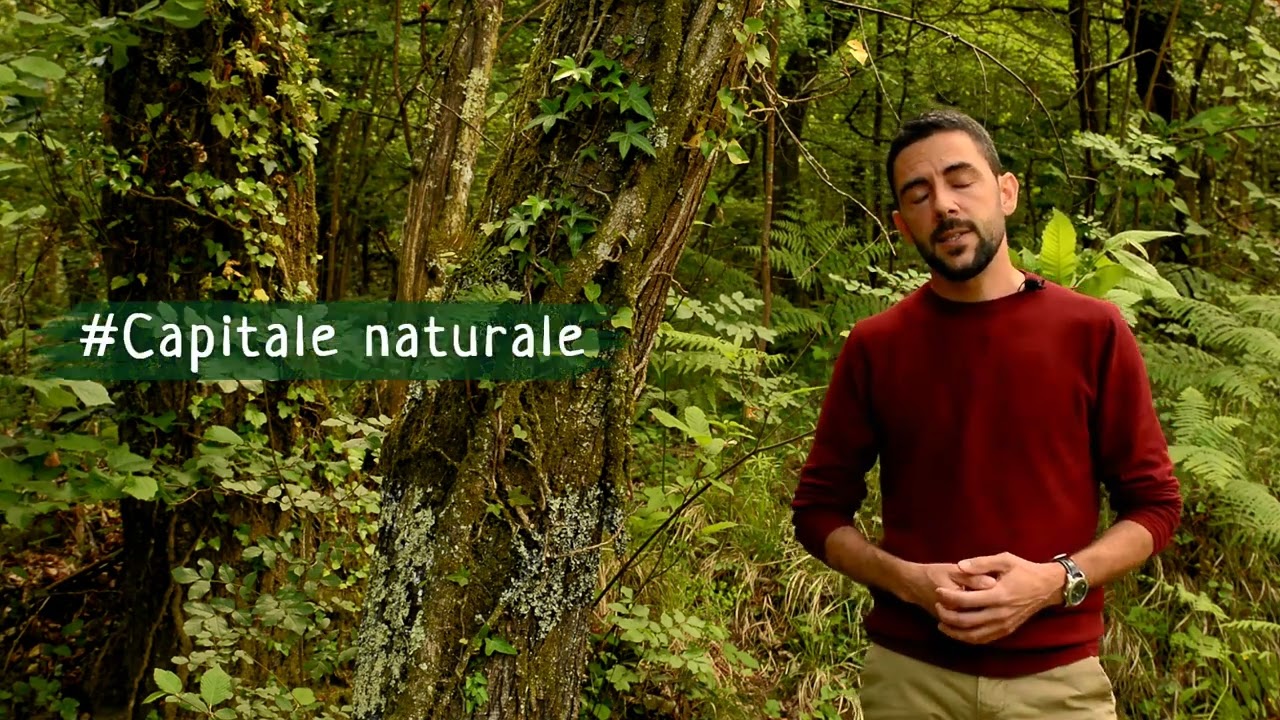 Che cos'&egrave; la biodiversit&agrave;?