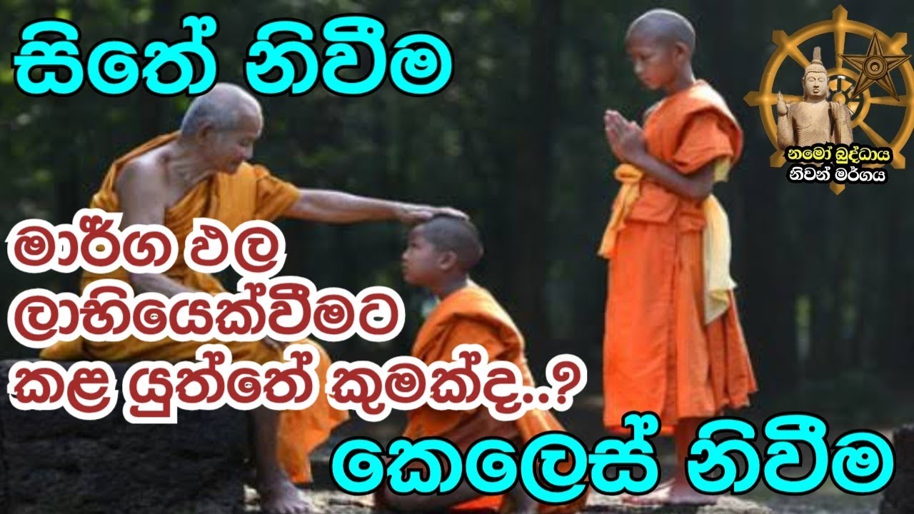 මාර්ග ඵල ලාභියෙක් වීමට කළ යුත්තේ කුමක්ද ..?    Niwan margaya 