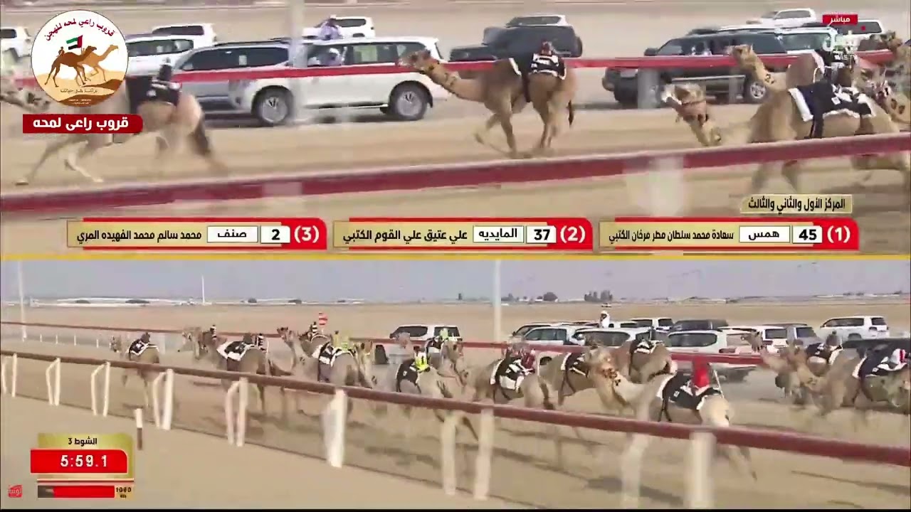 ش3 ( كأس اللقايا مهجنات انتاج )صنف لـ محمد سالم محمد الفهيدة المري 7:21:73(  ختامي الوثبة 2026 )