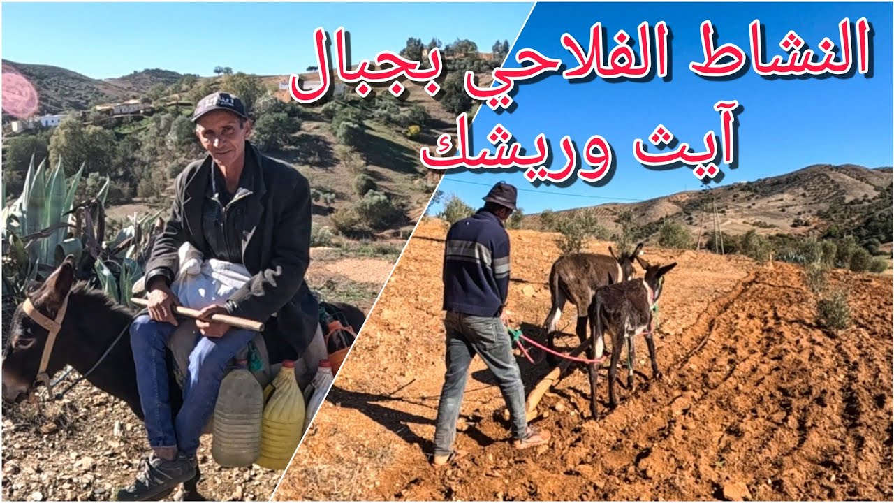 حياة الإنسان الأمازيغي في جبال الريف شمال المغرب north morocco